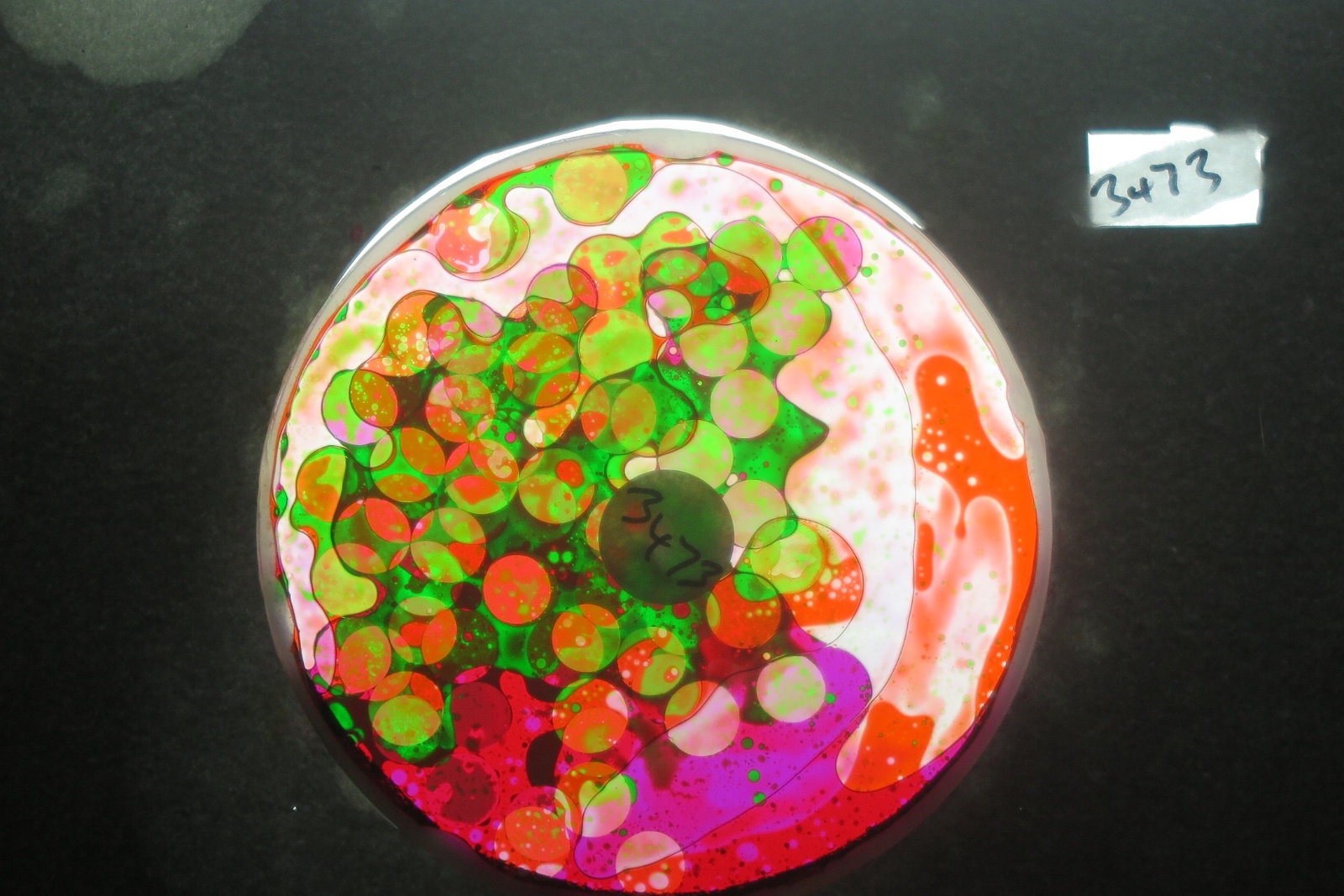 BV3473 bubble vision oil wheel